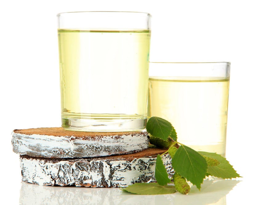 liquide de sève de bouleau